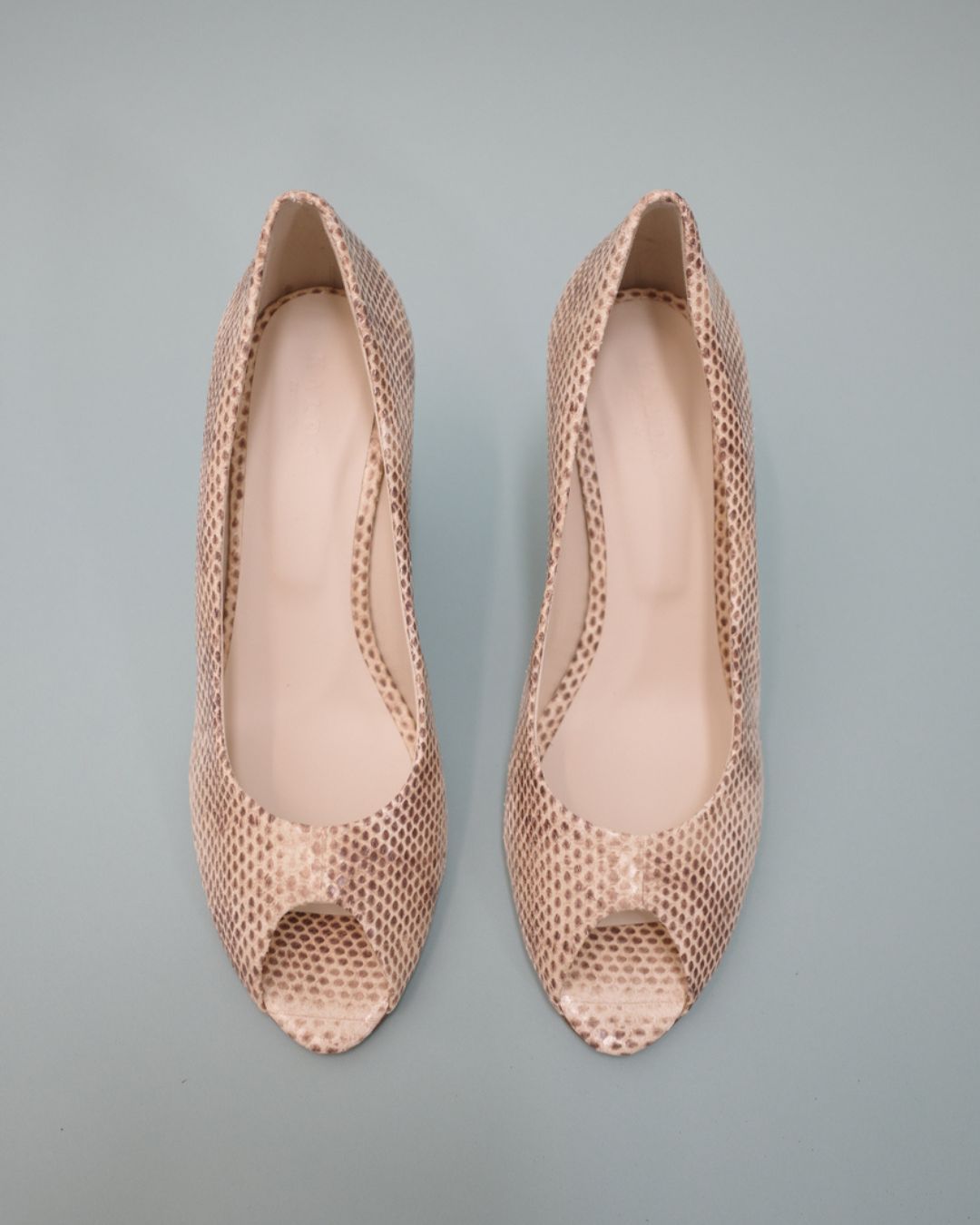 ROSA / snake print