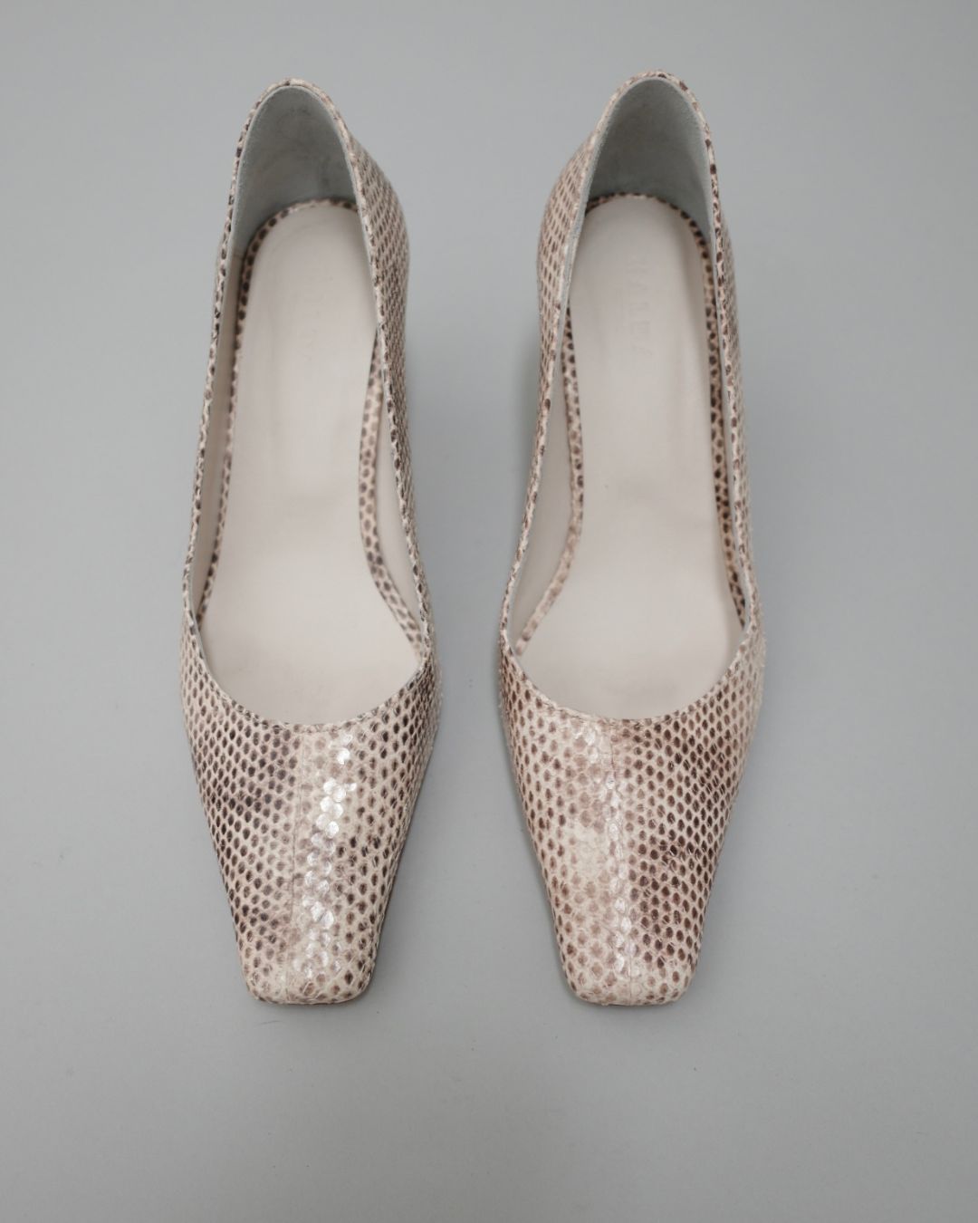 DAIA / snake print